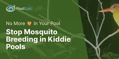 Stop Mosquito Breeding in Kiddie Pools - No More 🦁 in Your Pool