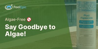 Say Goodbye to Algae! - Algae-Free 🚫