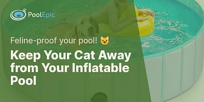 Keep Your Cat Away from Your Inflatable Pool - Feline-proof your pool! 😺