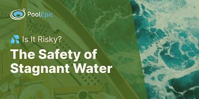 The Safety of Stagnant Water - 💦 Is It Risky?